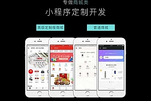专业软件app开发公司：小程序软件开发一站式服务