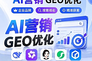 企业GEO推广系统，源码 贴牌 代理
