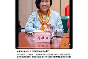 人大代表蒋胜男：整治搜索引擎盗版，加强影视源码监管