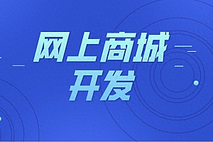 网上商城系统开发源码 企业电商平台定制方案