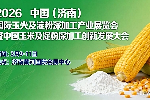 【2026年2月】源码深度解析：一文读懂它的核心价值与实用评价